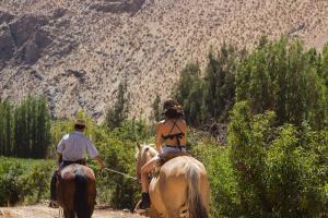 Hotel Casona Distante