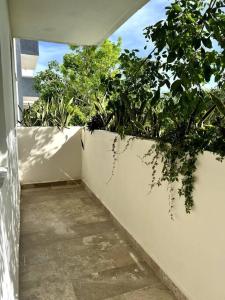 Room Rental Super Comfortable with Office Space!