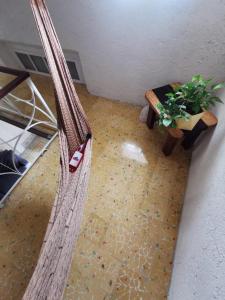 Chichipato Casa Boutique