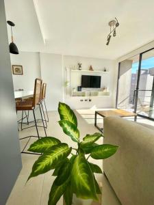 Luminoso Depto 2 ambientes Mar del Plata