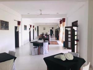 Bee and Birds Hotel - high-speed internet powered by Starlink