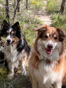 Le bivouac-tente chez Camille