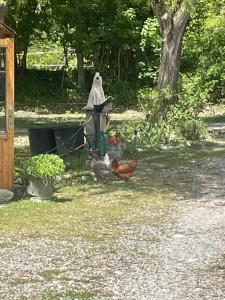 Campings la roulotte chez Camille : photos des chambres