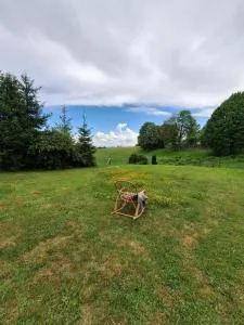 Im Herzen des Hotzenwalds - Hennenmatt