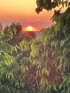 Chambre avec vue sur le marais et la piscine