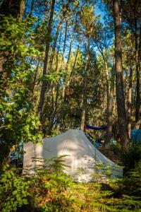 Campings Camping la Sousta**** : photos des chambres