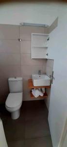 Lady S Holiday Studio