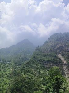 The smoke house malana