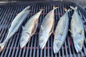 Maisons de vacances L authentique : photos des chambres