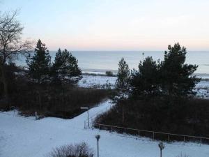 Schwarzer Bär Whg Bär 07