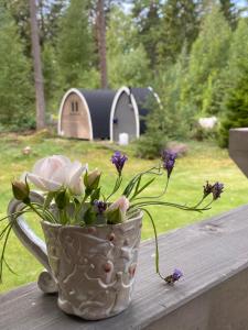 Merineitsi metsamaja