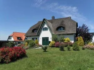 Weisse Möwe - Barendorf