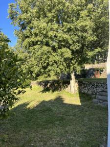 Appartements Mas Lyda : photos des chambres