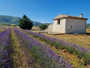 Le grangeon des Hermas - 萨路特德沃克吕兹