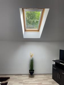 Enjoy Apartments - Central Skylight Residence