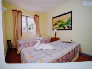 Nice flat in pretty condo