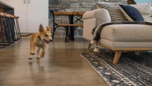 Serendipity - Pool, Pets OK, Fireplace, Village Location