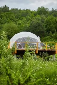 Zenzia Glamping - Bistriţa