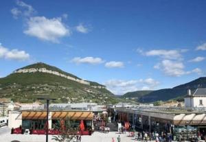 Appartements Maison Eugene centre-ville piscine jardin fibre garage : photos des chambres
