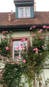Ferienwohnung in historischer Mühle