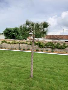 B&B / Chambres d'hotes Le lysblanc : photos des chambres