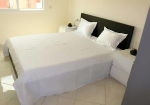 Residence riad al andalos II