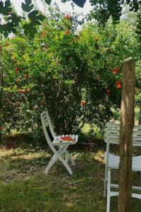 Maisons de vacances Ferme Les Serieges : photos des chambres