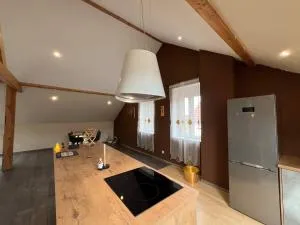 Loft spacieux en pleine forêt - Siersthal