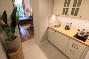 Central Designer Apartments