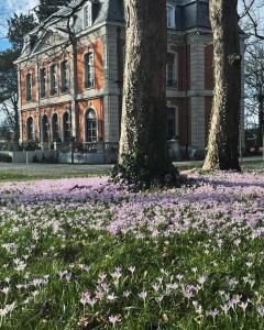 Le Petit Château Peltzer