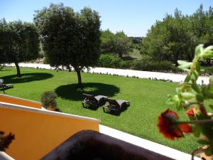 Sole del Mediterraneo