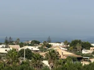 Ammare - 彼得罗西诺