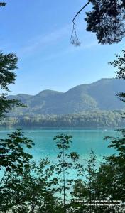 Privatzimmervermietung