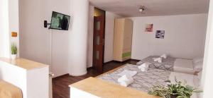 Stephanie Apartment-Centru civic