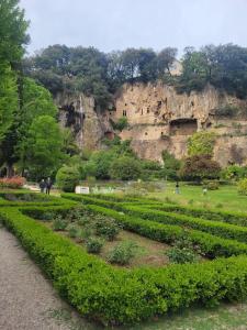 Le Mas Les Salamandres