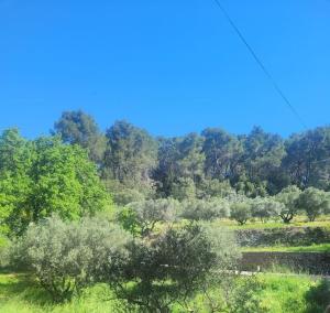 Le Mas Les Salamandres