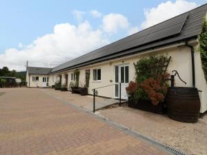 The Turbles - Wagtail