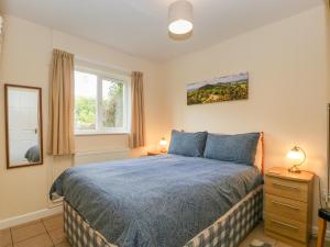 The Turbles - Wagtail