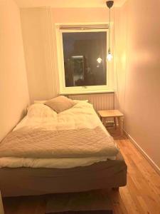 Two-room apartment in Stor København