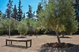 Villa Tulum - Indoor Spa & Pools