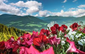 Appartement Mit Panoramablick