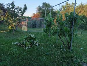 Kuća za odmor Fruška gora