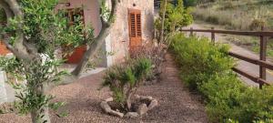 Appartamento il Delfino - Beach House