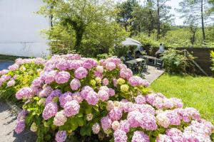 Maisons de vacances Vacances Pays Basque : photos des chambres