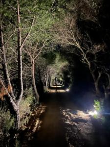 Agreen Country House img15