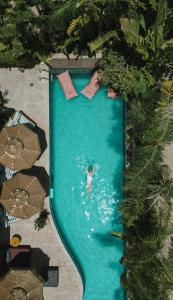 Villa Balfour - Unrated properties in Eilat