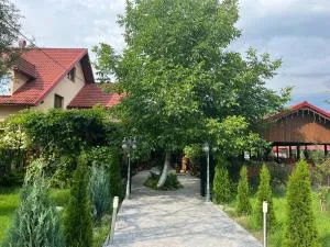 Kilometru108 - Petrova