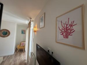 STUDIO IBIZA - HYPER CENTRE LORIENT