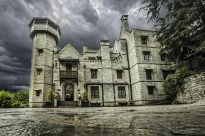 The Himalayan - Bashist