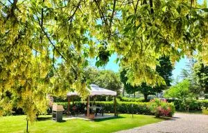 Casa vacanze Bonardini - Borghetto